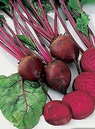 GreenSea High Yield Beetroot, Beet Seed