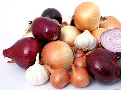 CYBEXIS NBIR-8 - Onion Rainbow Mix Neutral - (4500 Seeds) Seed