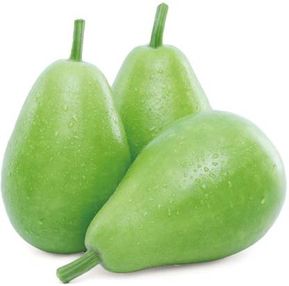 UGRA Round Bottle Gourd, Ghiya Seed