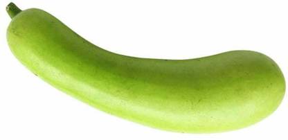 UGRA Bottle Gourd Vegetable Seeds Seed