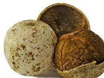 VINAYAK HERBALS BAEL FRUIT, stone apple, bilva, sriphal, shivadruma, sripal Seed
