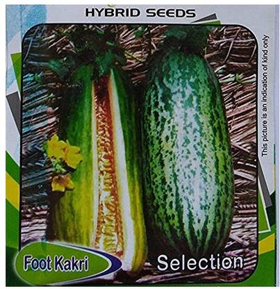 KNESSiN Foot Kakri Seeds Seed