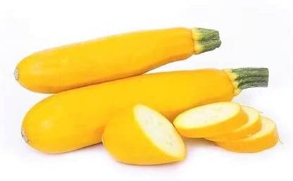 CRGO ZUCCHINI Seed