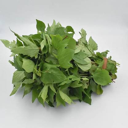CHILLATAI Pulicha keerai Seed