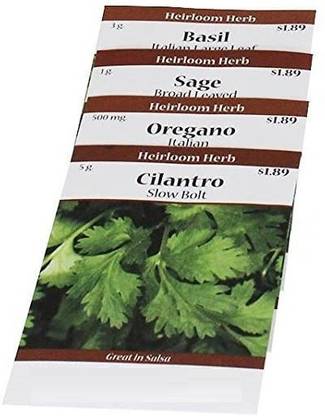 CYBEXIS Culinary Herb Seeds - Basil, Cilentro, Oregano, Sage Seed