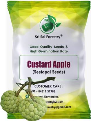 SRI SAI FORESTRY Custard Apple (Seetapal) Fruit Tree Seed
