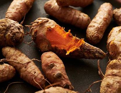 jui halder Kacha Haldi, Organic raw turmeric Seed