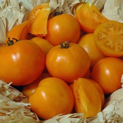 Avysa Tomato Chef's Choice Orange Seed