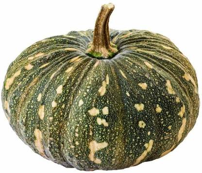 VibeX PUAS-94 - Hybrid Vegetable Pumpkin - (100 Seeds) Seed