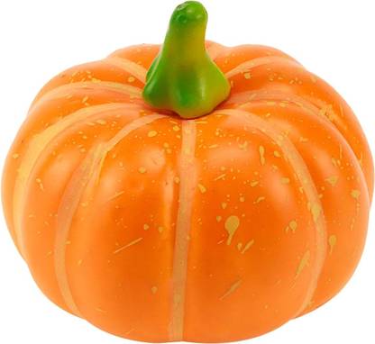 CRGO DIOART-ERW-™Pumpkins Vegetables Seeds-50 SEEDS-PS602 Seed