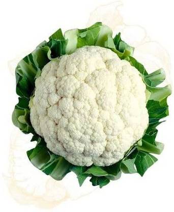 VibeX HUA-99 - Pusa Hybrid Cauliflower - (150 Seeds) Seed