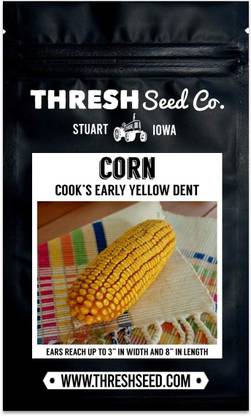 WILLVINE VMR -XI Cooks Early Yellow Dent Corn-[1Kg] Seed