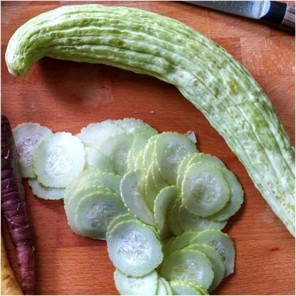 VibeX NBIR-25 - Cucumber Armenian Yard Long Snake Melon Rare - (1350 Seeds) Seed