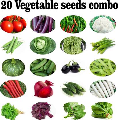 HYBRID Vegetable Seeds Combo (pack of 20 varieties 500+seeds) Seed