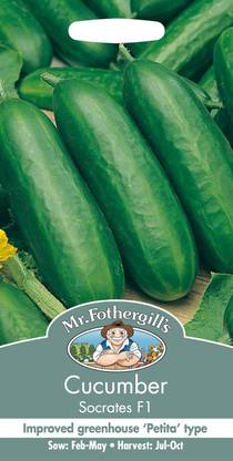 KNESSiN Cucumber Socrates Seed