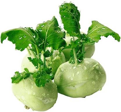 KANAYA Hybrid Knol Khol White Vegetable Seed