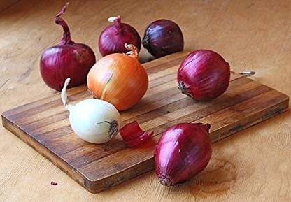 CYBEXIS TLX-7 - Onion Rainbow Mix - (4500 Seeds) Seed
