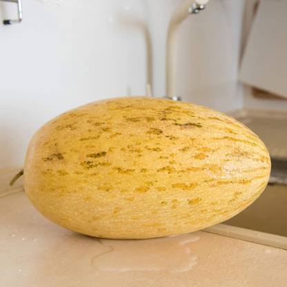 Qualtivate XXX-2A Musk Melon - Banana Seed