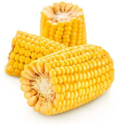 CEZIUS Sweet Corn (Makka) (मक्का के बीज) Seed