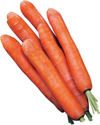 VibeX ® RXI-12 Nantes Half Long Carrot Seeds Seed