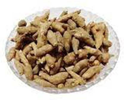 BHARAT JADI BOOTI Atish Kadwi - Ativisha Bitter - Atiwisha - Ateesh - Aconitum heterophyllum Seed