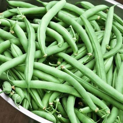 SREE Organic Beans Seeds, Bean Seed, Hybird Seeds for Farming & Gardening Seed