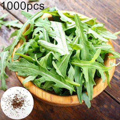 KNESSiN Arugula Seed