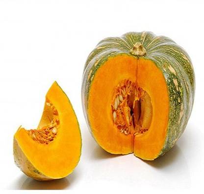 Farmonix High Quality Pumpkin vegetables Seed