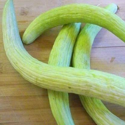 ENINE Vegetable Seeds Cucumber Kakdi Seeds Long Melon GG193 Seed