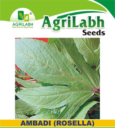 agrilabh AMBADI SEEDS Seed