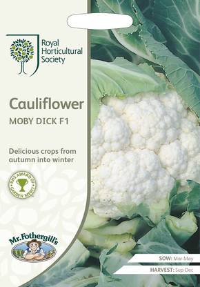 WILLVINE PAU -XI Cauliflower Moby Dick F1 [5g, 1500 Seeds] Seed