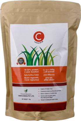 Farmguru C Lucerne RL 88 - 1 Kg, Perennial 3 Year Crop, up to 22% protein Seed
