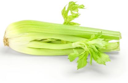 ENTENT Organic Celery - Organic & Non GMO Seed