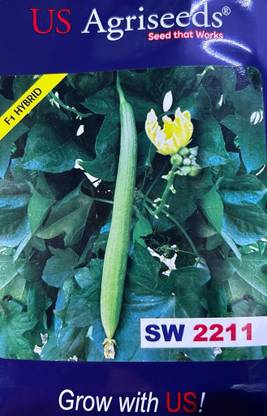SPONGEGOURD SPONGE GOURD, NENUA, DHODOL, SW2211 Seed