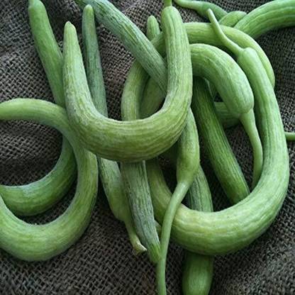 TRICONE Vegetable Seeds Cucumber Kakdi Seeds Long Melon GG383 Seed