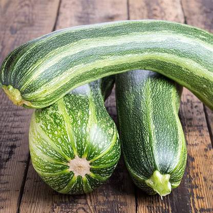 VibeX ® VMR-295 Italian Striped Zucchini Summer Squash Seed