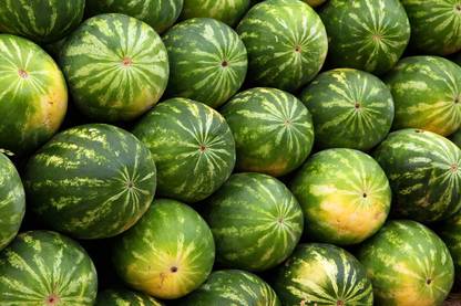 KNESSiN Watermelon Flash F1 Hybrid-{200 Seeds} Seed
