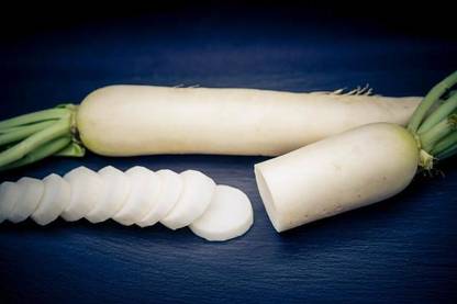 Mozette Organic Radish Seed
