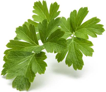 Mozette Parsley Seed