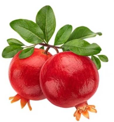 Aywal Chinese Rare Pomegranate Tree Seed