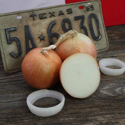 WILLVINE HAR -IV Texas - 1015 Super Sweet Onion Seed [5g] Seed