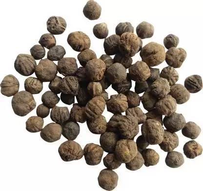 grassland GRASSLAND TEAK WOOD / TECTONA GRANDIS / SAGWAN TREE SEEDS PACK OF 300 Seed