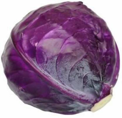 Avysa RED ACRE CABBAGE Brassica Seed