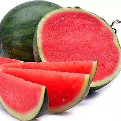 EMKOT Sweet Watermelons Fruit तरबूज के बीज Seed