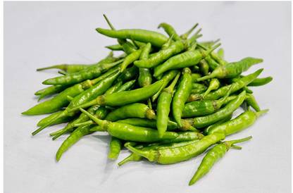 granthi Bird Pepper Green Chili Seed