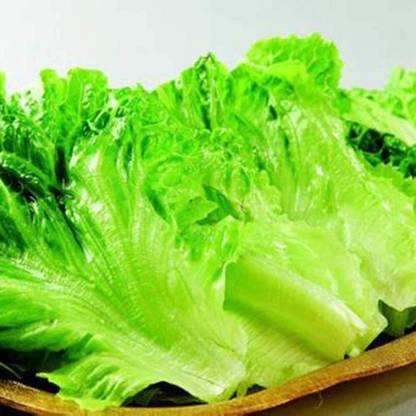 Aywal Lettuce Seed