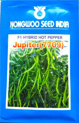 NONGWOO 10g, hybrid chilli seeds,Mirchi beej, Hybrid chilli seeds Seed