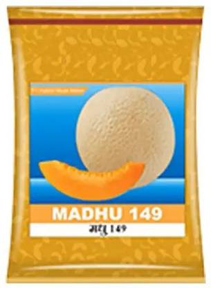 CYBEXIS XL-63 - Musk Melon F1 Hybrid Mithas - (450 Seeds) Seed