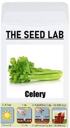 KNESSiN Celery Seed