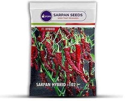SARPAN SEEDS Sarpan 102 byadgi chilli | byadagi mirchi | red chilli | Mirchi seeds (50) Seed